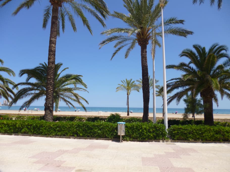 View from the balcony