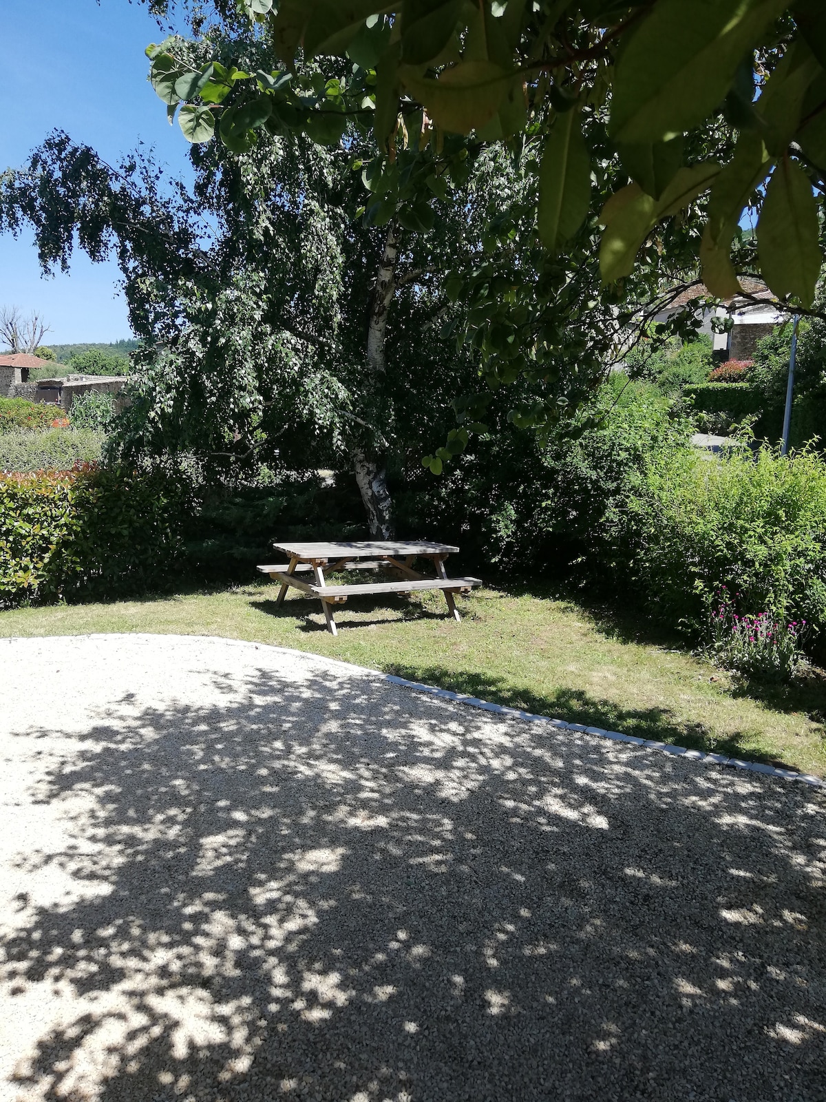 A shaded picnic table is situated on a grassy area surrounded by lush greenery, including a leafy tree. Sunlight filters through the leaves, creating a dappled pattern on the ground. The tranquil outdoor space is ideal for relaxation and enjoying nature.