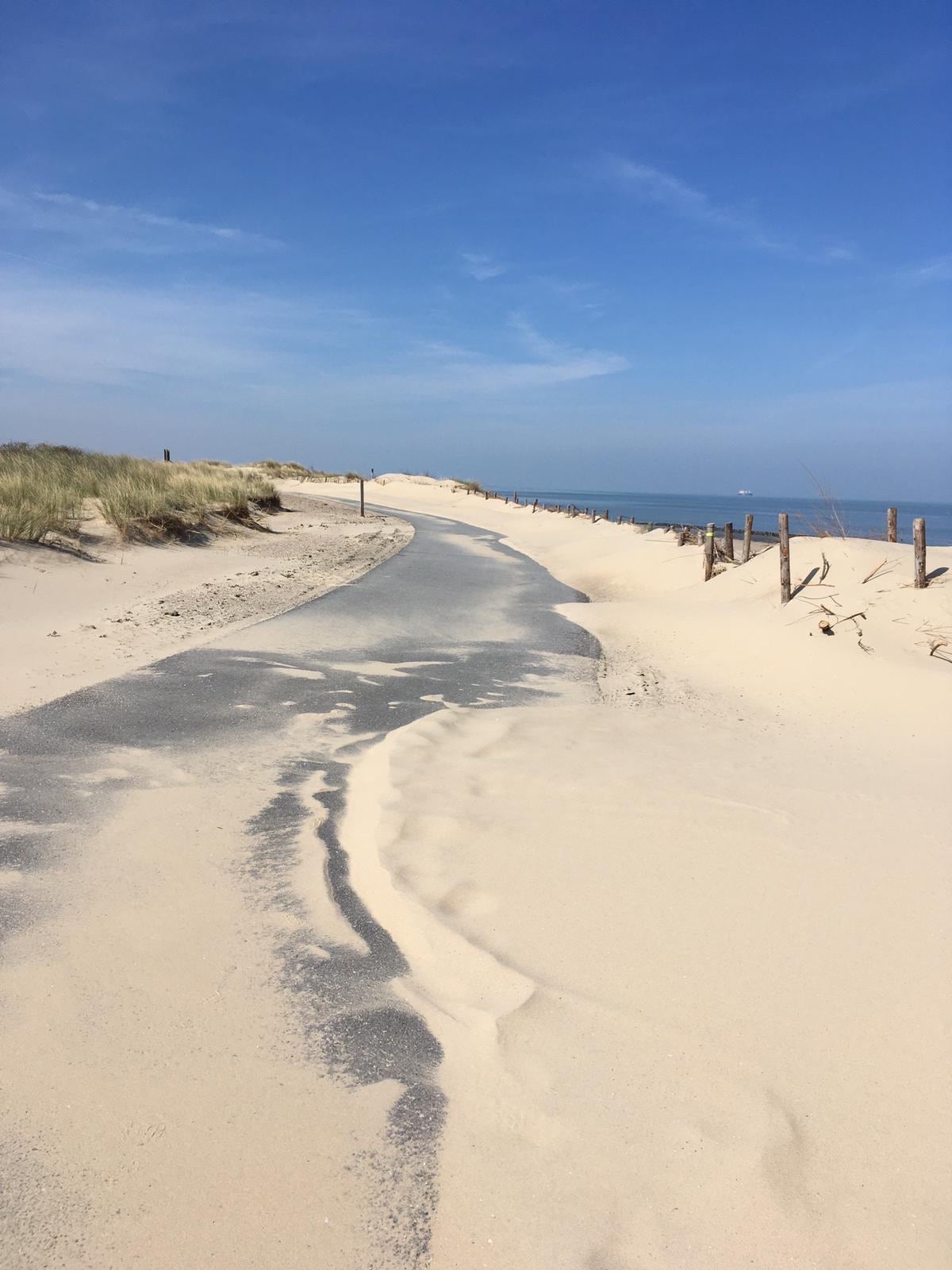 A winding path is visible, leading through sandy terrain towards the beach. Gentle dunes and patches of grass are present on either side, while a clear blue sky stretches overhead, creating a serene coastal atmosphere.