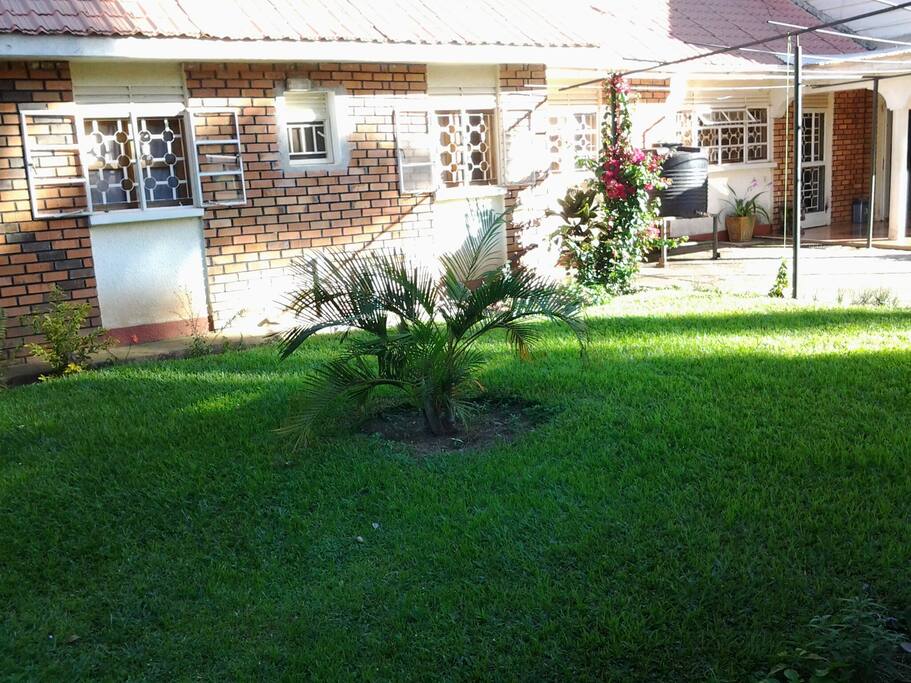 Garden beside the house