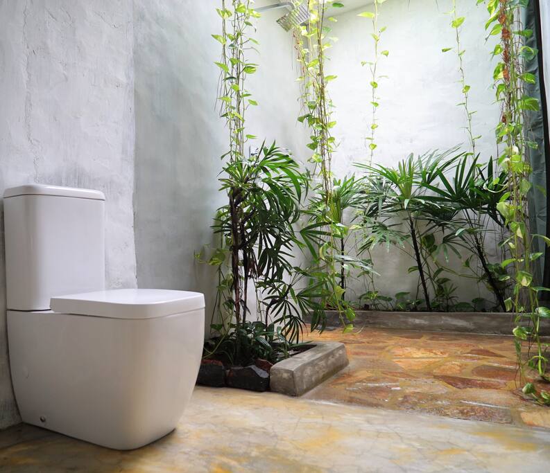 Tropical Shower.