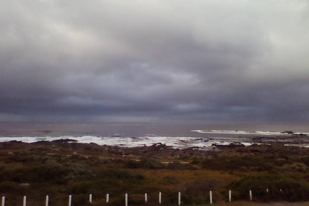 More of the view