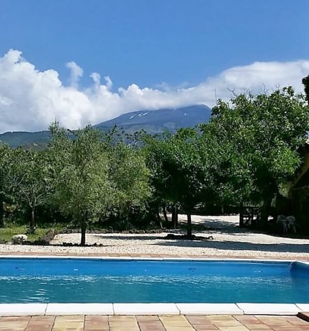 Set amongst 300 olive trees - fabulous views