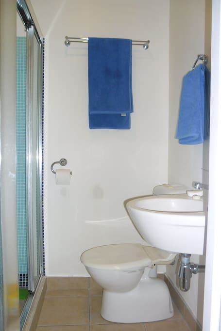 compact bathroom