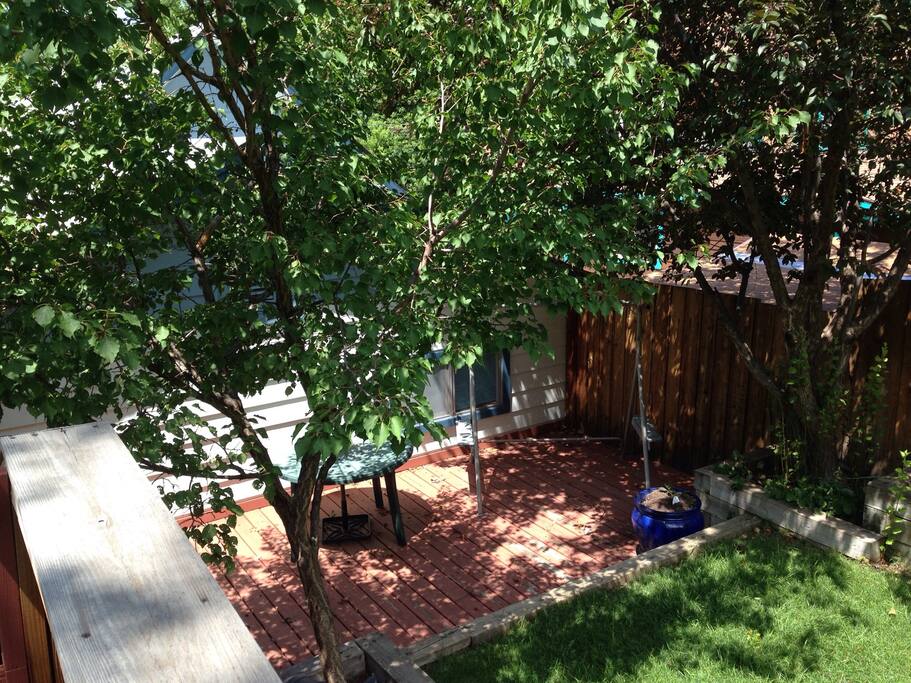 Patio area with grill