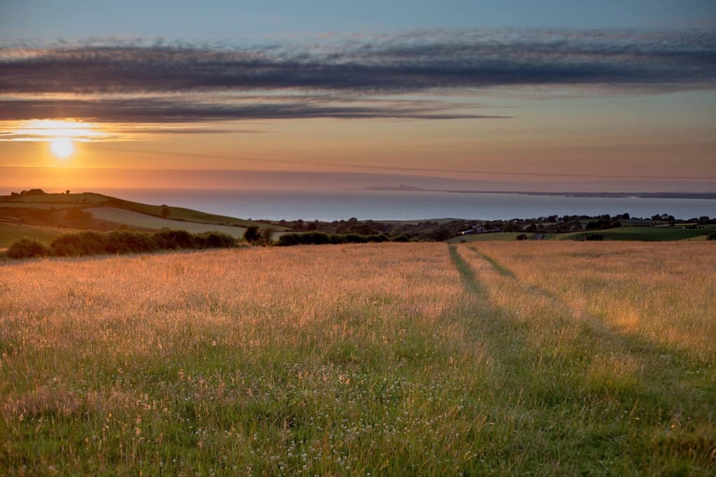 Our Wildflower meadows and sea views