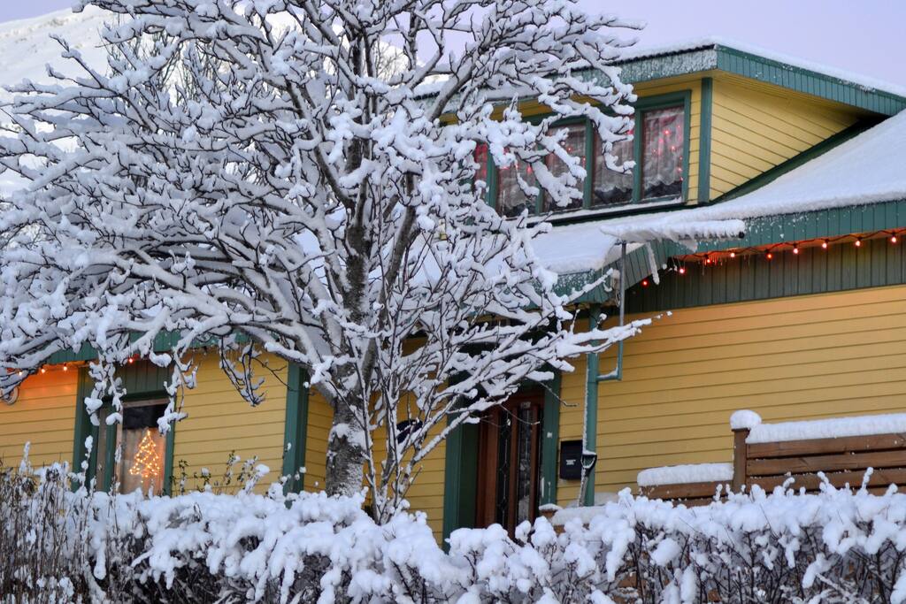 Winter in Reyðarfjörður.