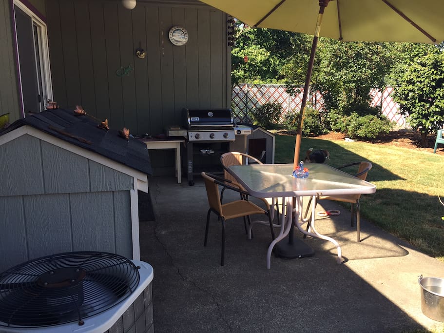Large fenced backyard with gas BBQ