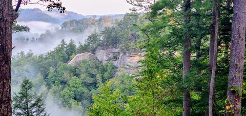 Terrapin Station: Million dollar view, RRG!