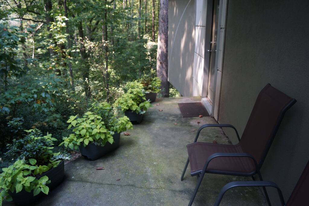 Entrance Patio