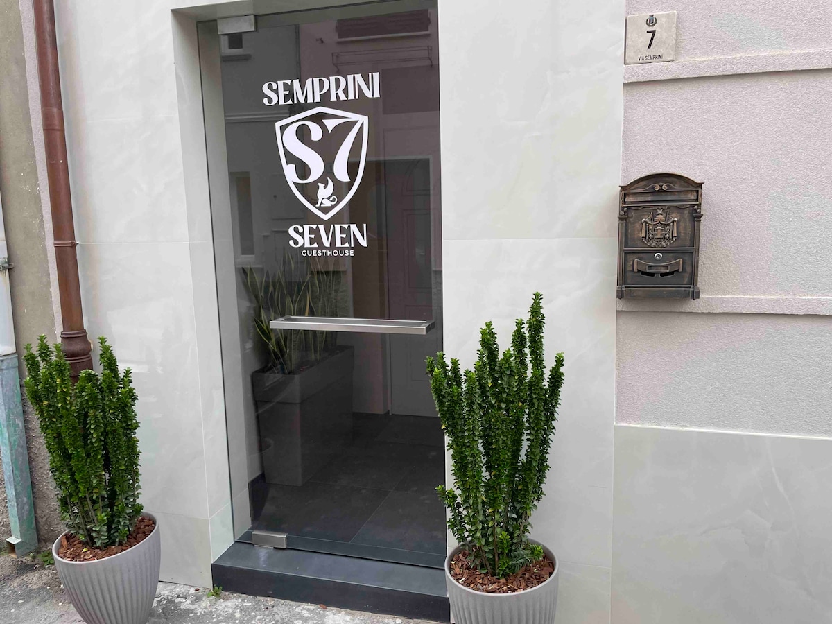 The entrance features a sleek glass door with the 'Semprini Seven' logo prominently displayed. Flanking the door are two potted plants, adding a touch of greenery to the modern building facade. A mailbox is positioned to the side of the entryway.