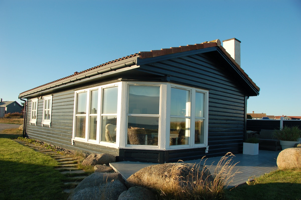 A single-story cabin is depicted with a dark exterior and a sloped roof. Large windows provide ample natural light and showcase surrounding landscapes. A stone pathway leads to the entrance, with grass and rocks framing the structure, contributing to a serene outdoor environment.