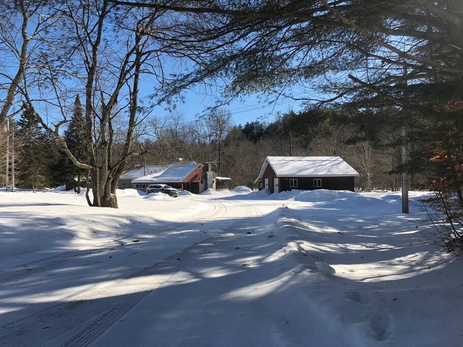 Singles in cold brook new york