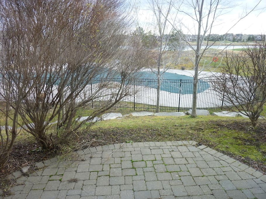 Backyard patio with pool and golf course view