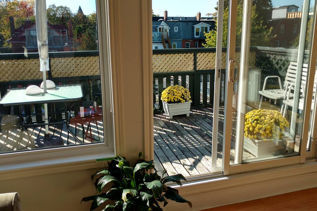 West Facing Deck