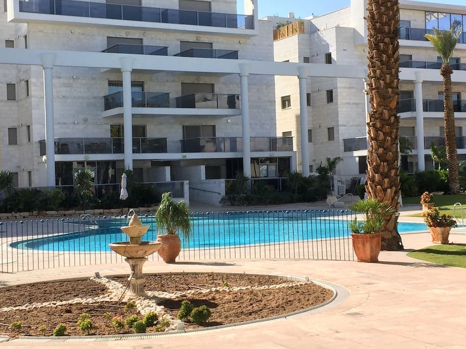 A serene swimming pool is framed by a landscaped garden featuring palm trees and decorative plants. The building's architectural design is highlighted with balconies and large windows, providing a modern aesthetic. A fountain is situated in the foreground, adding to the tranquil environment.