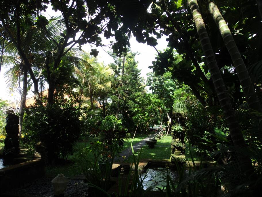 garden