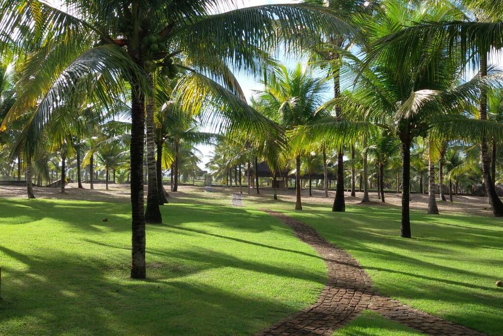 Localizada a cem metros da praia... que tal um coco tirado na hora do pé?