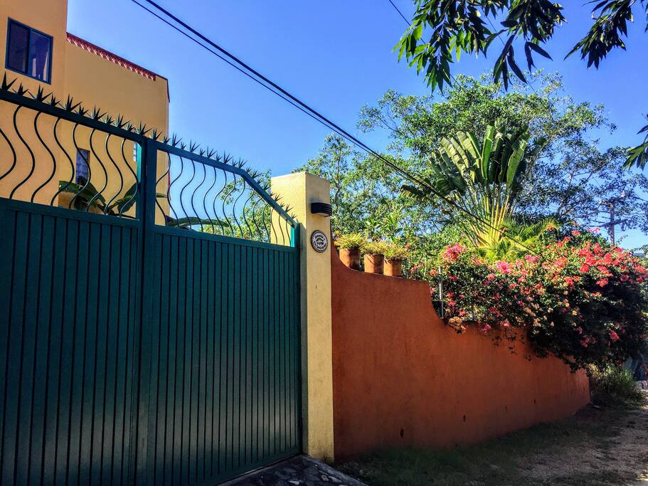 Street view of our compound