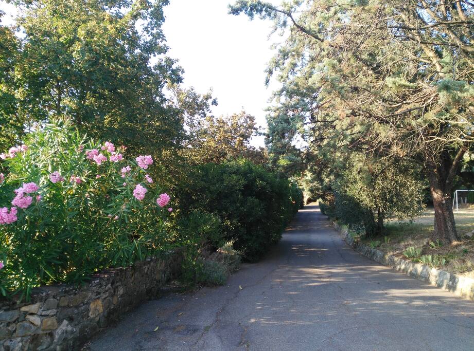 viale d'ingresso