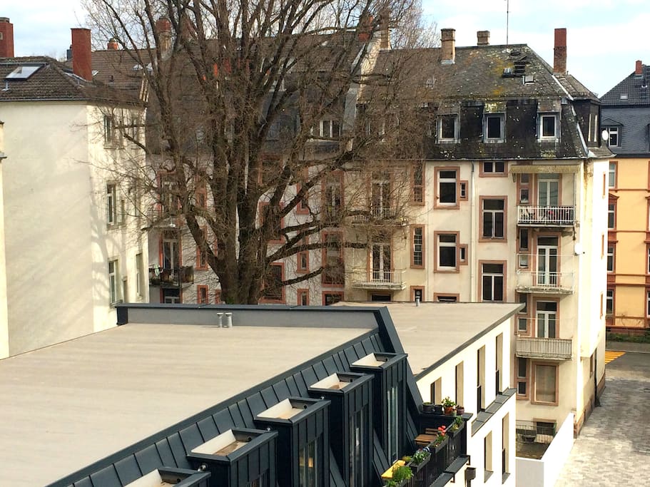 Ausblick in den Hinterhof