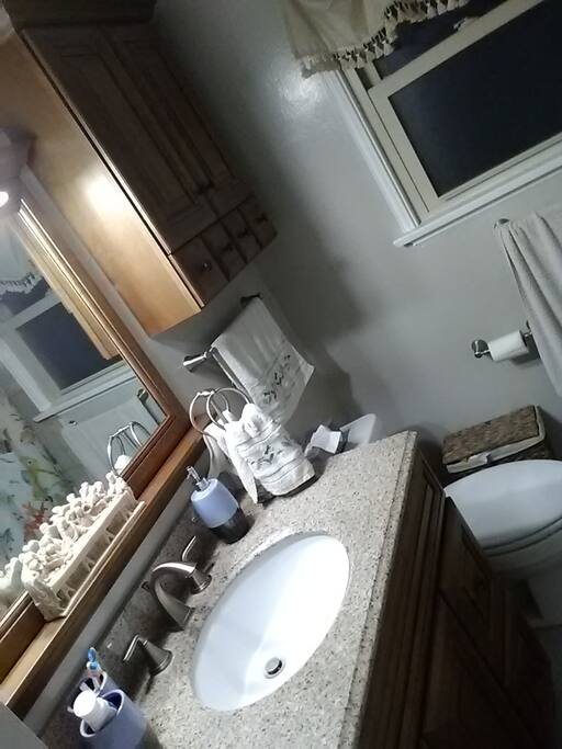 Newly remodeled Bathroom with full size tub.