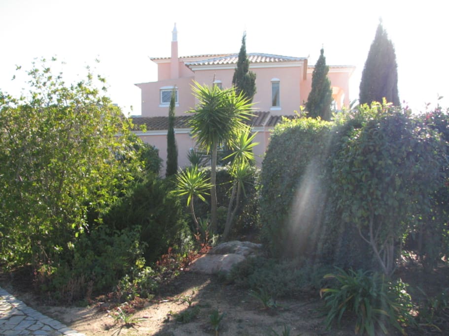 Side View