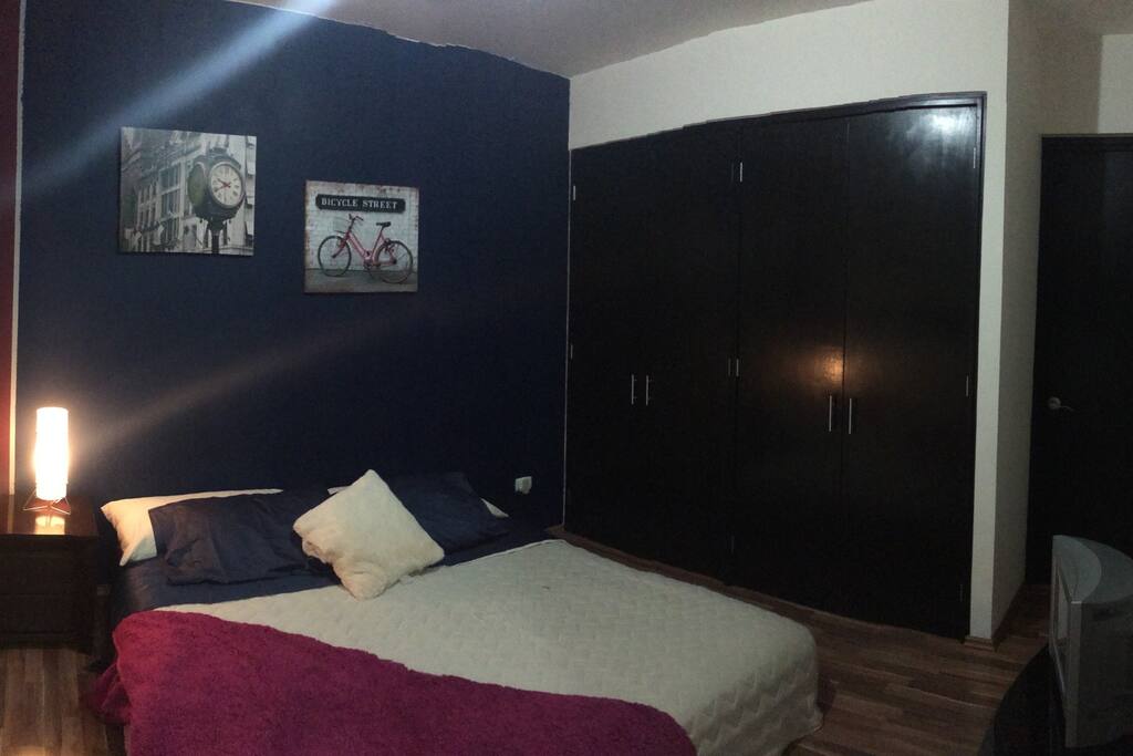 Habitación en renta con entrada independiente al baño. Closet amplio.