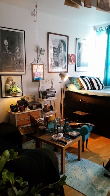 Main living area/bedroom