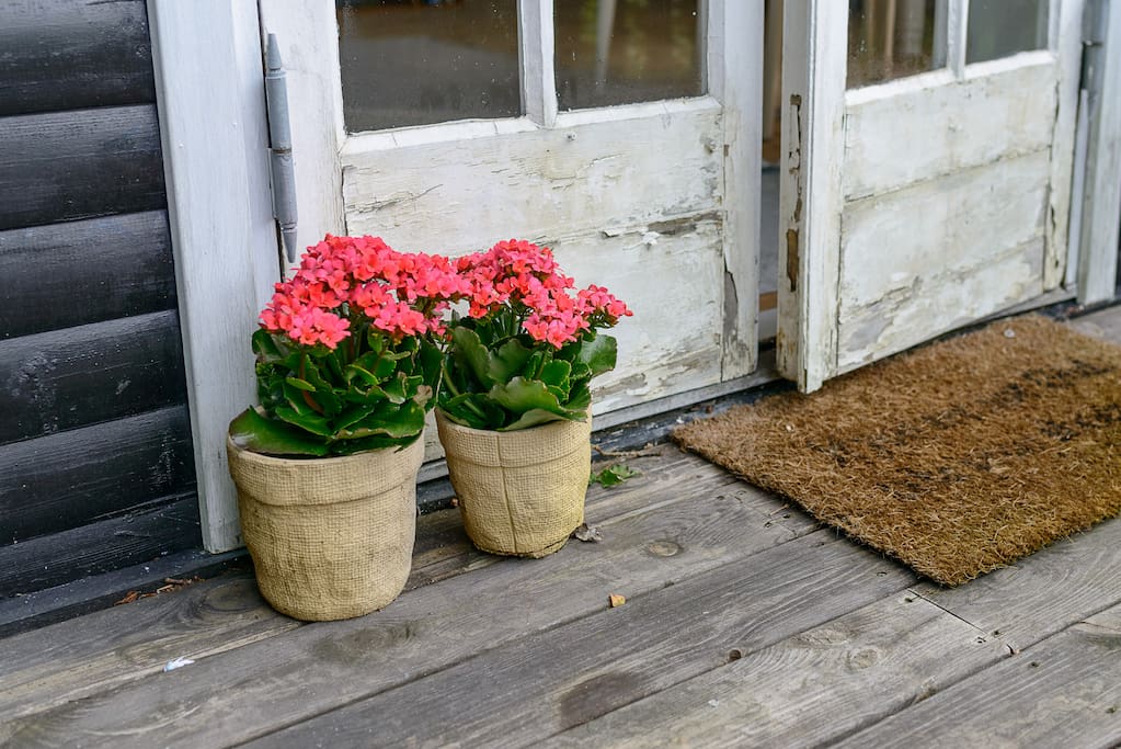Flowers by the door