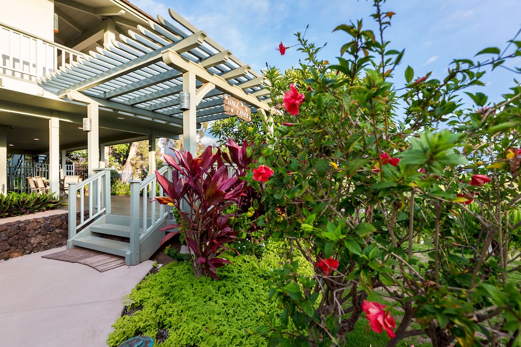 Tropical flowers greet you at the front enterance