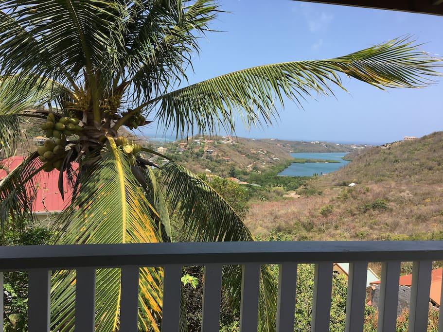 View from the veranda
