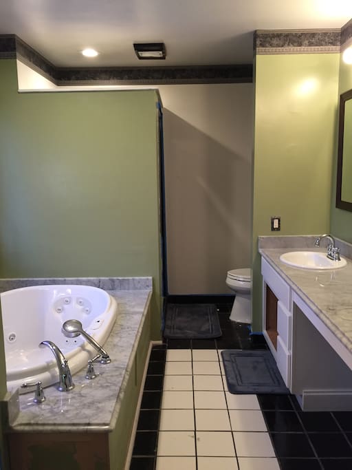 Master bathroom