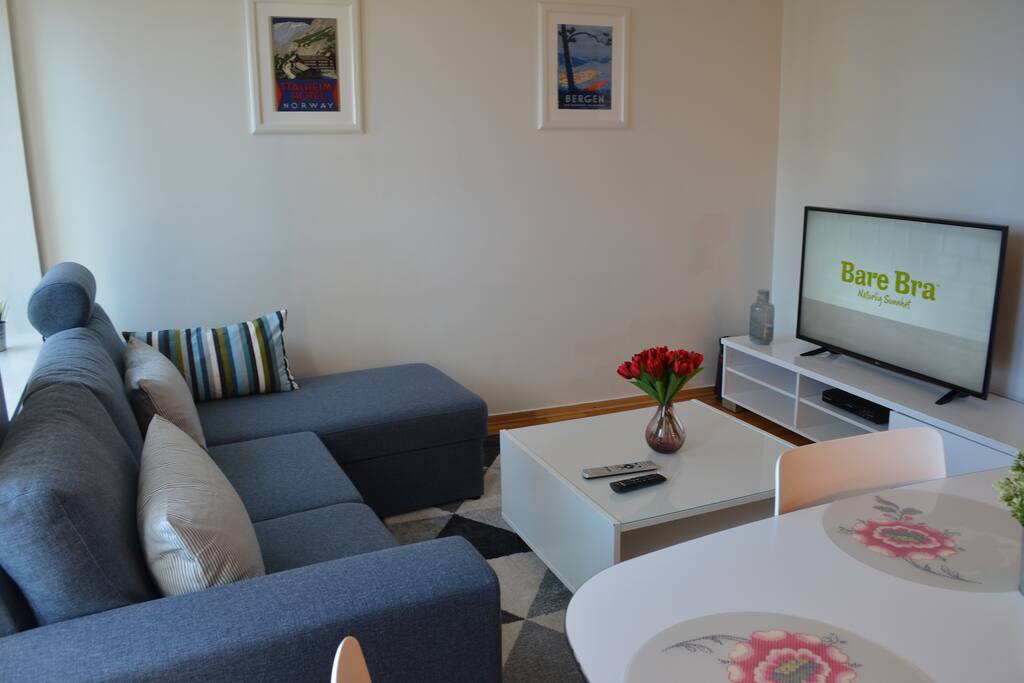 Comfortable sofa, 49" TV 4K UHD connected to the internet.