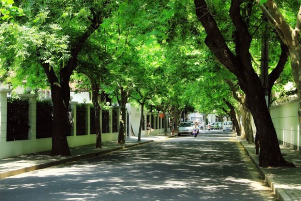 Green and quiet road