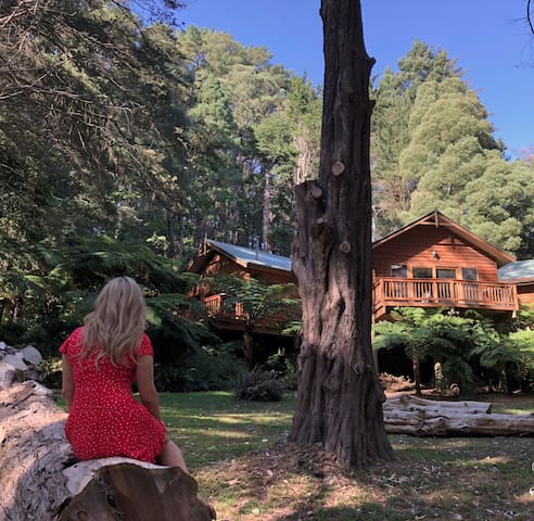 Chudleigh Park  (National Forest North Lodge)