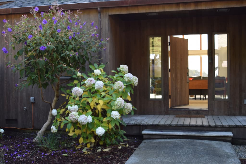 Front door.