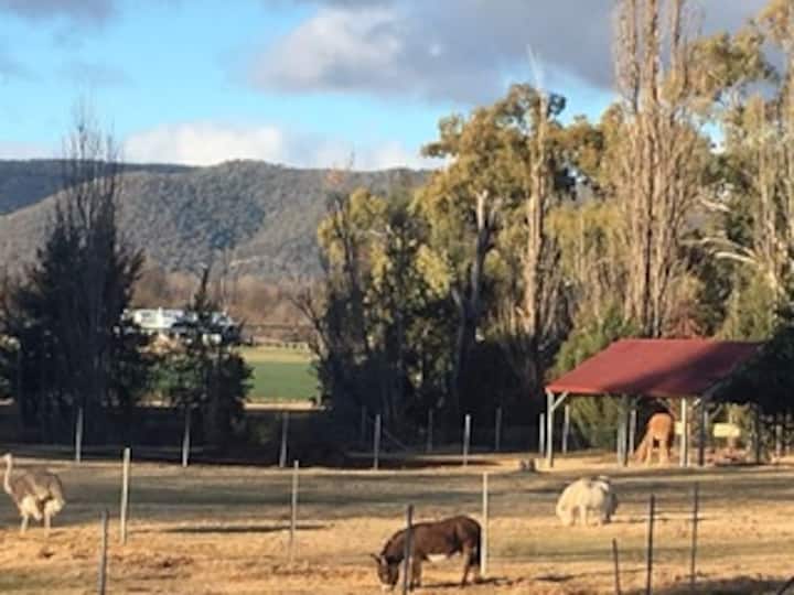 Top 12 Cabin Rentals In Mudgee, Australia Updated 2024 Trip101