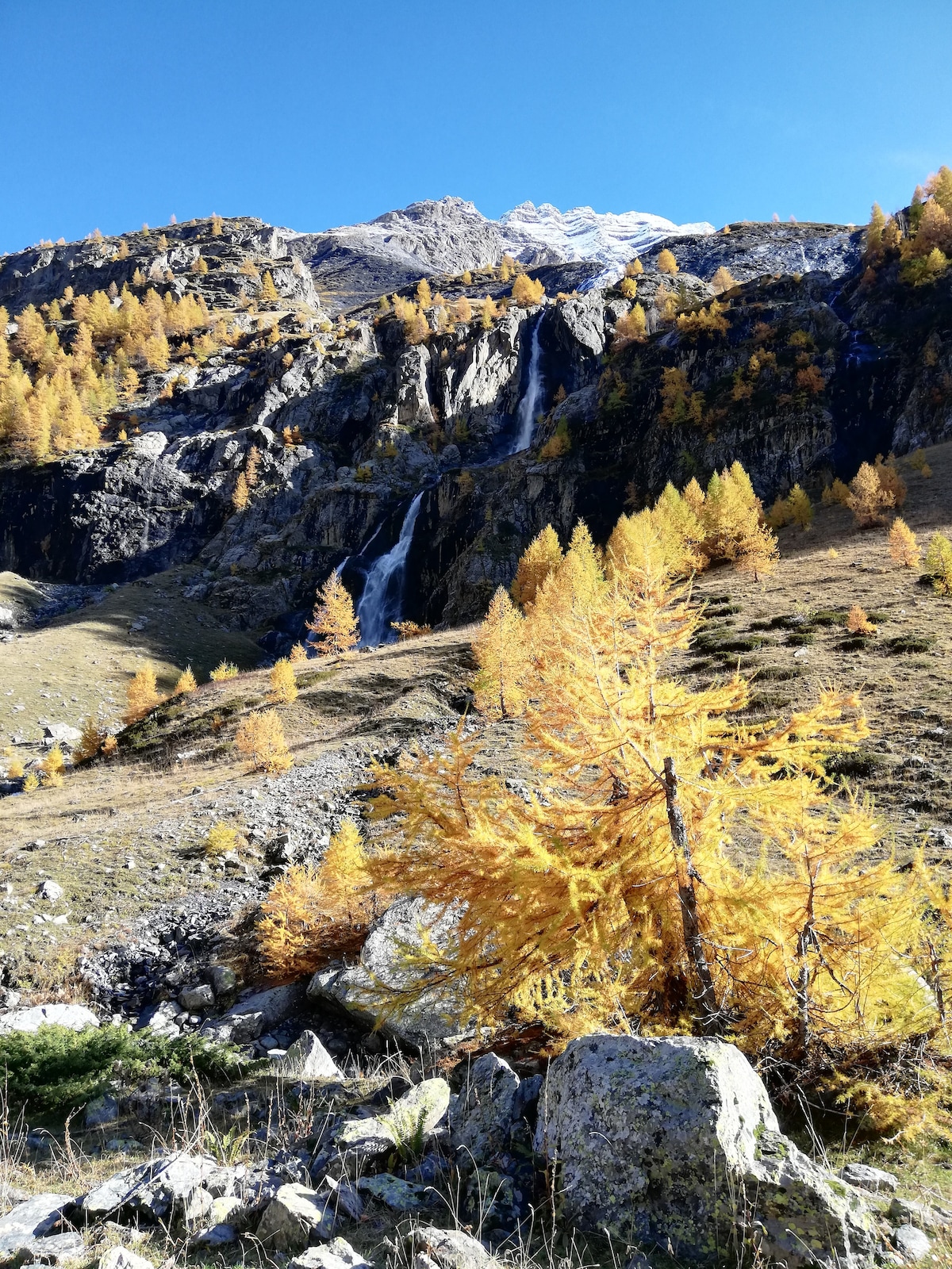 A stunning mountain landscape showcases a waterfall cascading down rocky cliffs. Yellow larches dot the hillsides, contrasting with the vivid blue sky above. The rugged terrain is punctuated by scattered boulders and grassy patches, providing a scenic view of the natural beauty surrounding the area.