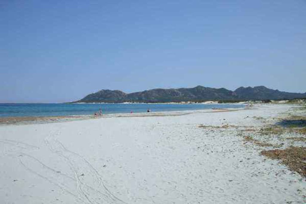 ca. 50 m zum langen weißen naturbelassenen Sandstrand