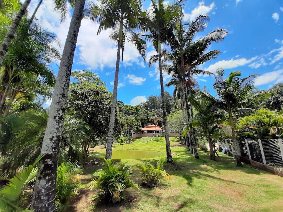 Lush greenery fills the scene, featuring tall palm trees and a vibrant landscape. A serene pond is visible in the foreground, surrounded by well-maintained grass. In the background, a building is nestled among the trees, complementing the natural tranquility of the surroundings.