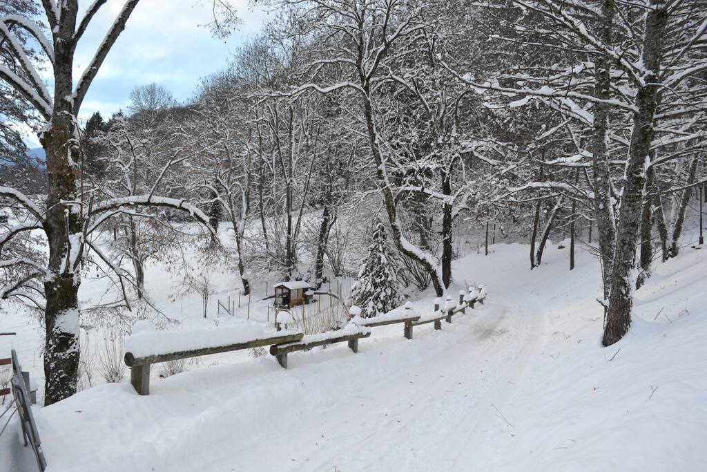 Départ du chalet pour promenade dans les bois accès chemins de randonnée