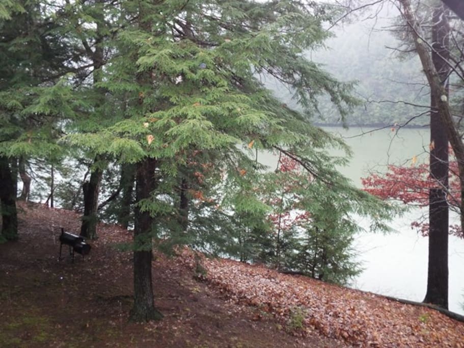 View from the Front Porch.