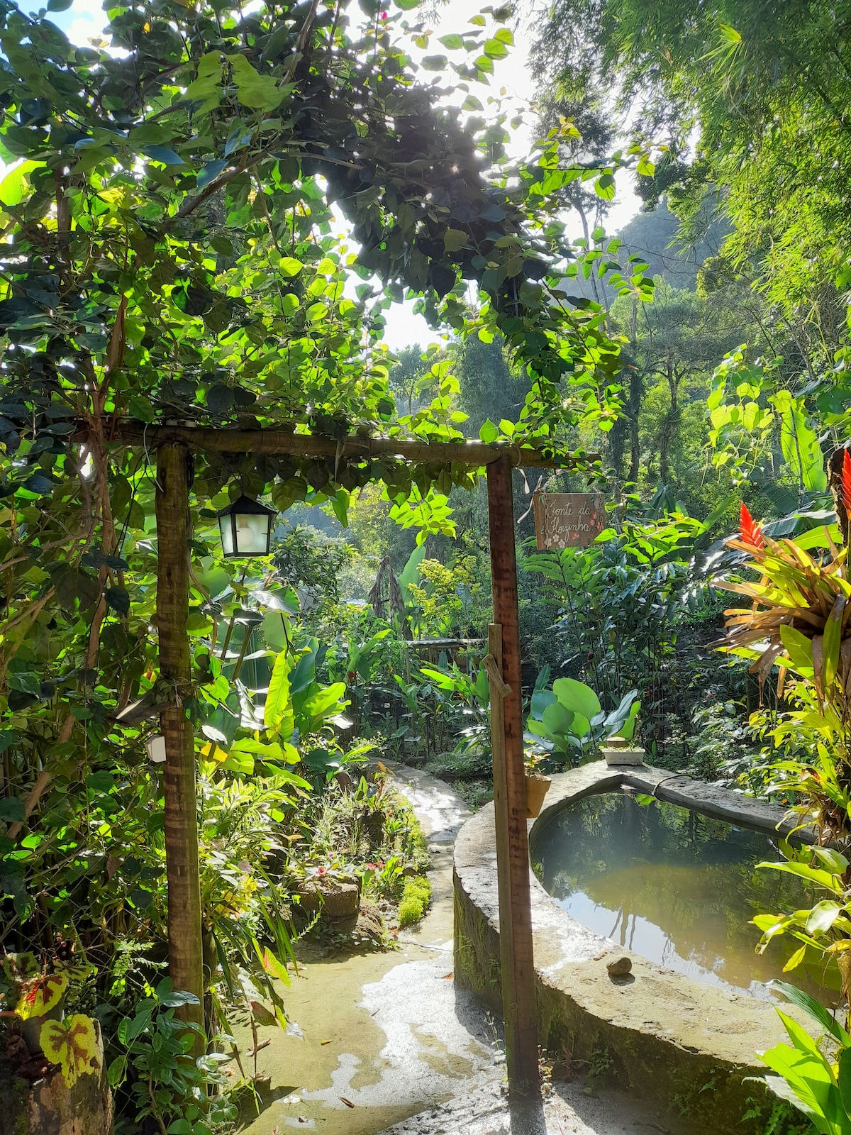 A natural pathway is framed by lush greenery and vibrant plants, leading to a tranquil pond. Sunlight filters through the foliage, illuminating the serene space, which showcases the abundance of nature surrounding the area.