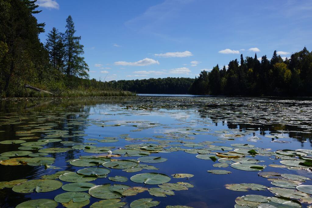 Lovely fishing site
