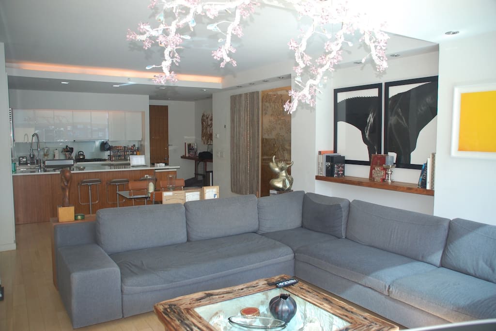 Living Room and open Kitchen