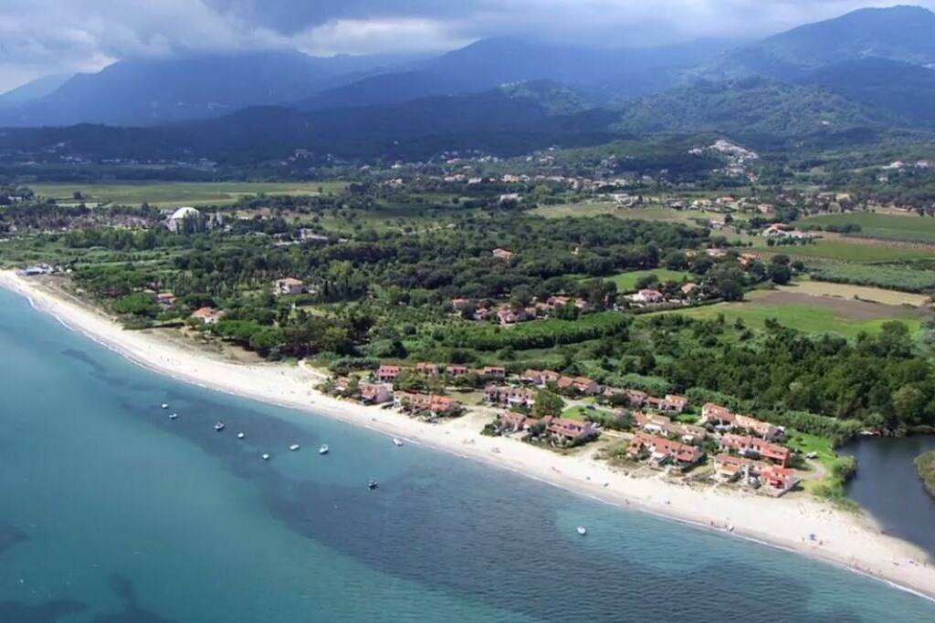 Overview of the marina