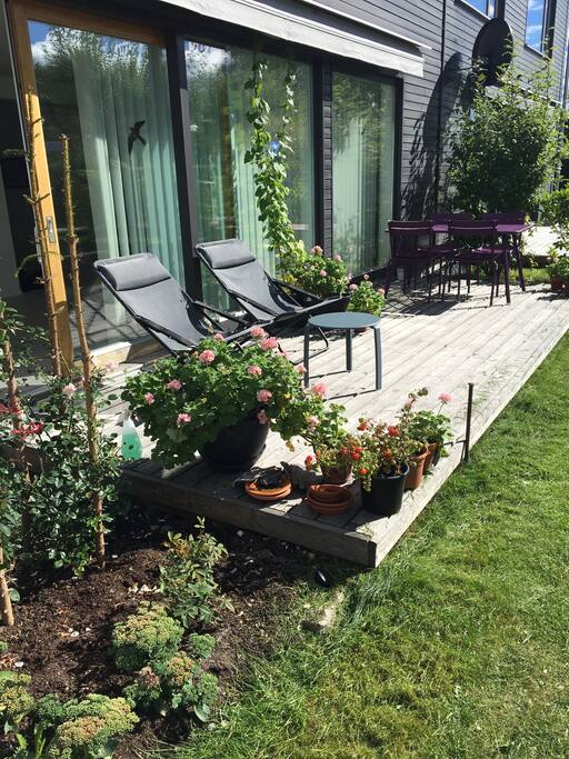 The terrace