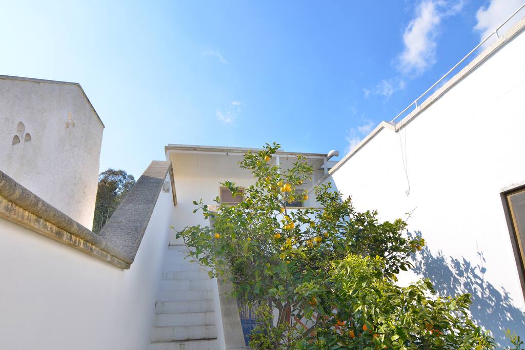 Esterno