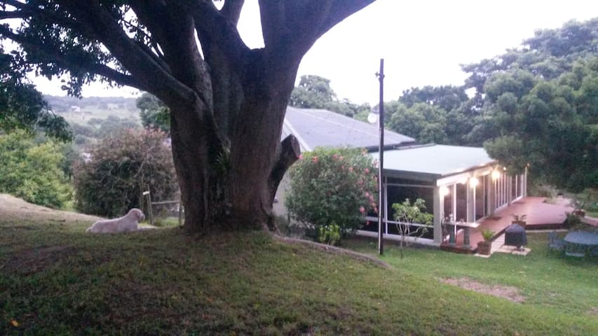 Balmoral Farm B&B